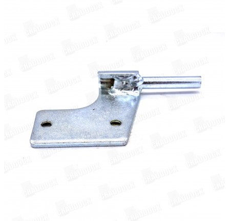 Genuine Hinge Pin and Plate R/H Upper Airportable