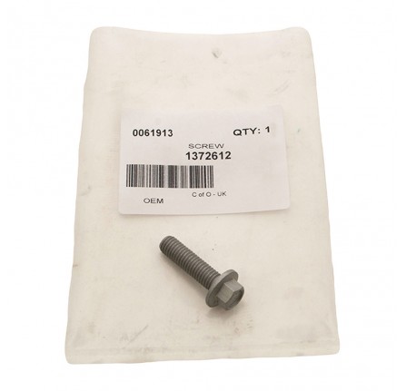 Screw for Fuel Manifold Clamp Diesel