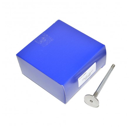 Inlet Valve 2.7 TDV6 and 3.6 TDV8