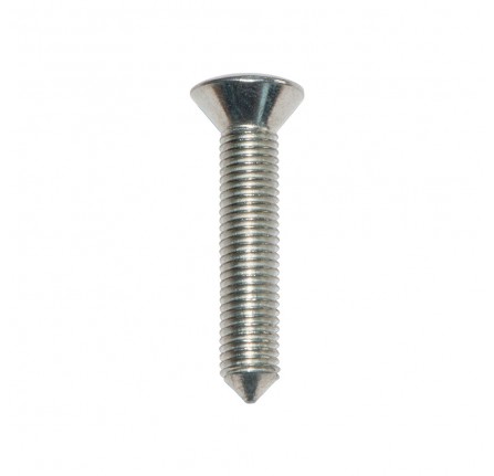 Screw Fixing Door Hinge to Bulkhead 1971 Onwards - Qty 100
