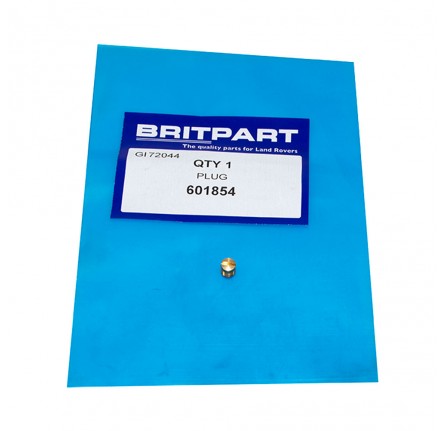 Plug for Pump Jet 1968-84 4 Cylinder.