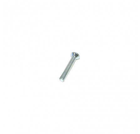 Screw Fixing Door Hinge 1971- 1998