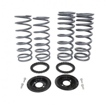 Terrafirma Air to Coil Conversion Kit +2" Lift Discovery 2