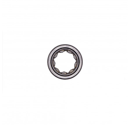 Bearing for Bevel Pinion Nose End Env