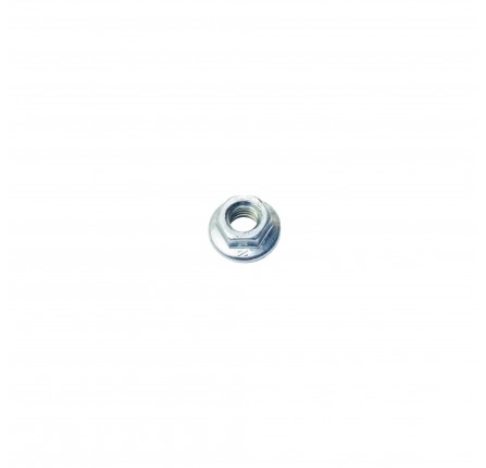 Flange Nut M5