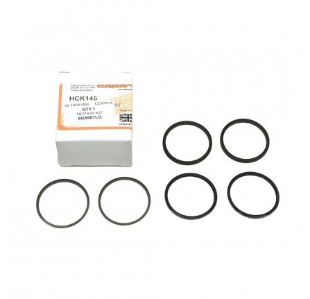 Ap Rear Caliper Repair Kit