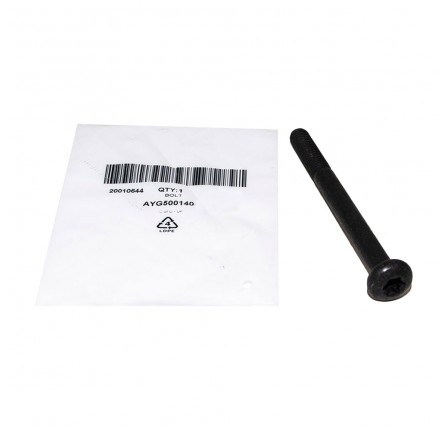 Bolt M10 x 110 mm Torx Drive