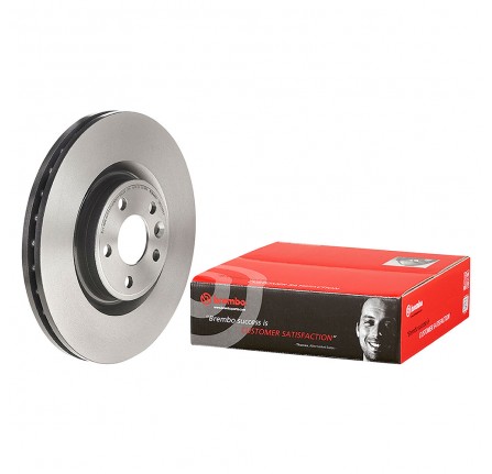 Front Brake Disc for Caliper Size 17 for Rrv