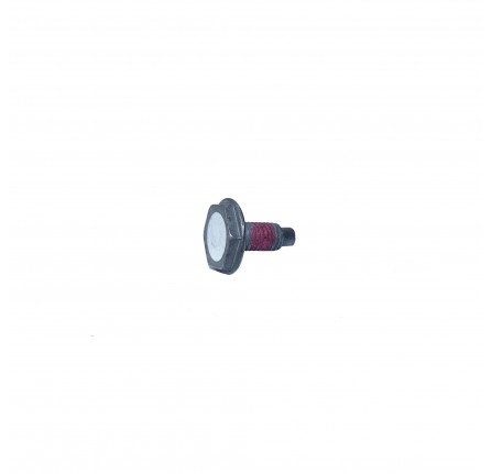 Genuine Roof Fastener M10 x 1.5 x 22