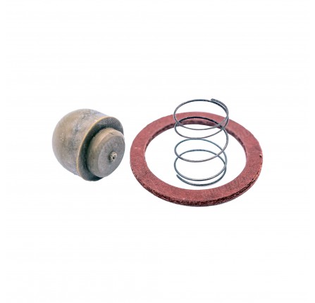 Servo Non Return Valve Kit Clayton Dewandre Series 2A 6 Cylinder Models.