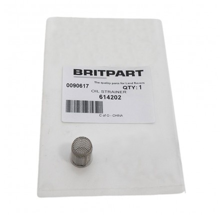 Sediment Strainer in V8 Oil Filter