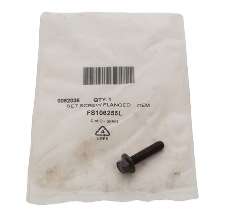 Flange Set Screw M6 x 25mm