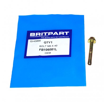 Flange Bolt M6 x 40mm V.A