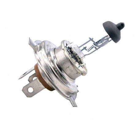 Halogen Bulb 24 Volt.
