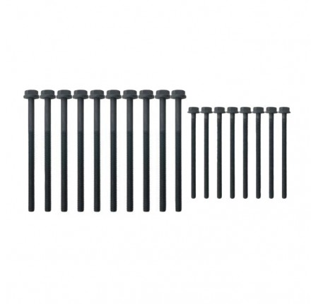 OEM Head Bolt Kit Defender Puma 2.4 (18 Piece)