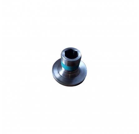 Output Shaft End Bolt M20X 1.5mm for Defender