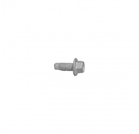 Genuine Bolt M6 x 12mm