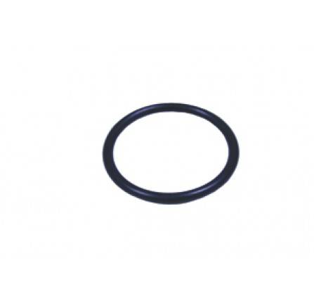 Water Rail O Ring V8