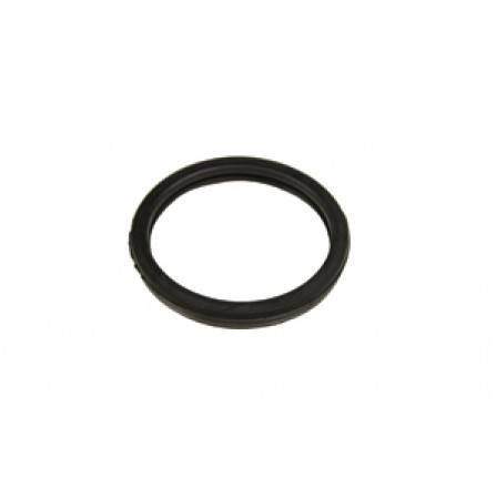 Thermostat Seal 1.8 Petrol Freelander 1