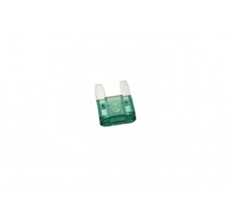 30 Amp Mini Fuse