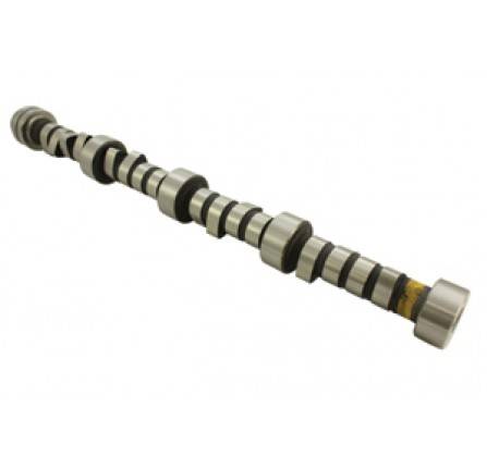 Camshaft 3.9 4.0 V8