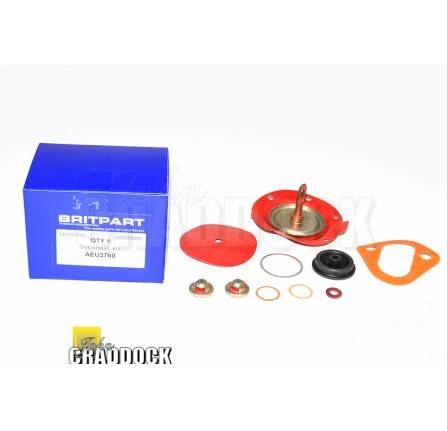 Repair Kit for Fuel Pump 2.25 and 2.5 Petrol Will Only Fit Early Type Fuel Pump with Slotted Shafts
