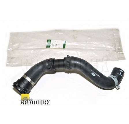 Hose - Radiator
