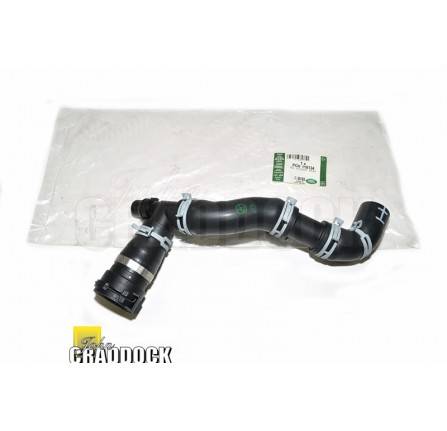 Hose - Radiator