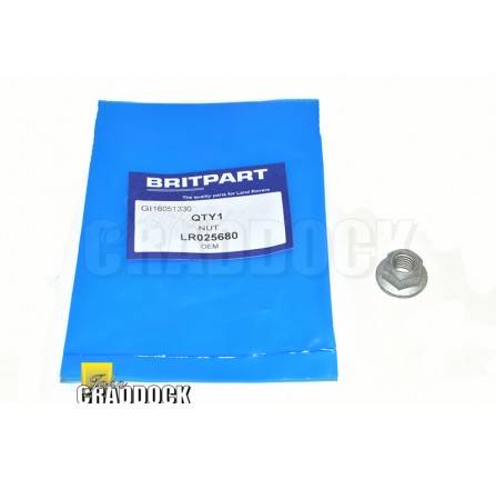 Nut M10 Turbocharger 2 Litre