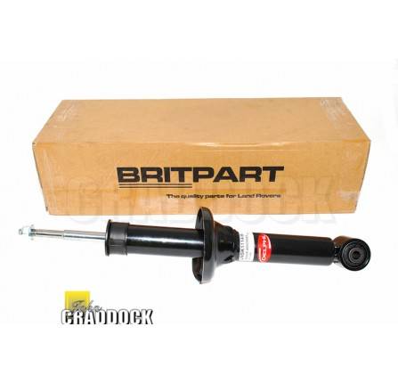 Bwi Front Shock Absorber