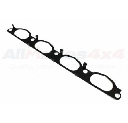 Gasket - Intake