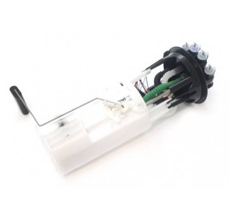 Genuine Fuel Pump TD5 110 in Tank