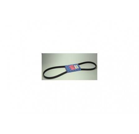 Belt Fan/Alternator