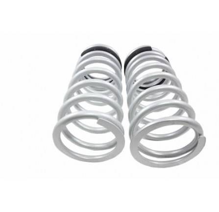 Terrafirma 1" Lowered Rear Springs (Pair) Defender 110/130