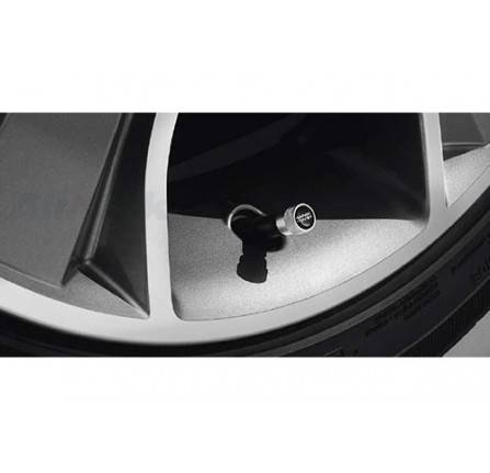 Cap - Valve Stem