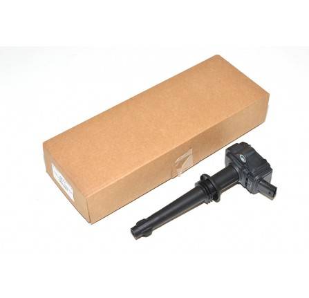 Ignition Coil Assembly