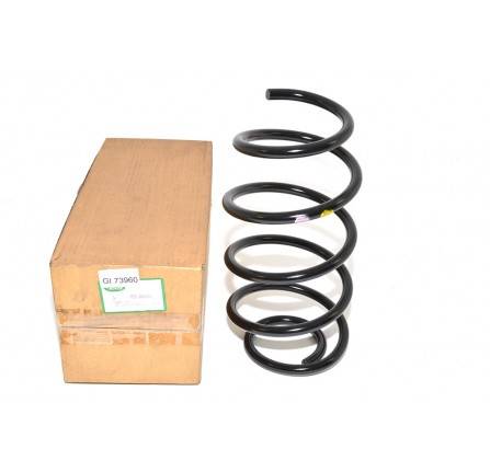 OEM Front Coil Spring Yellow/Pink
