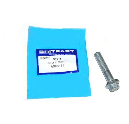 Bolt Flanged Steering Damper Discovery 2 and P38