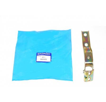 Genuine Hinge Bonnet RH