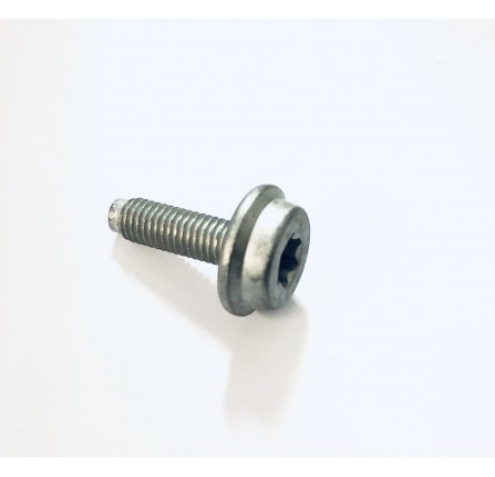 Genuine Torx Screw for Door Hinge Front