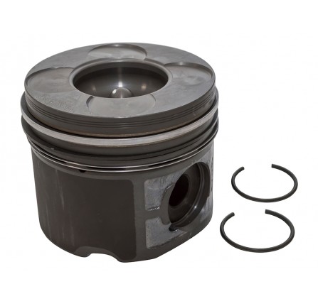 Piston 3LTR TDV6 0.25mm - Nural