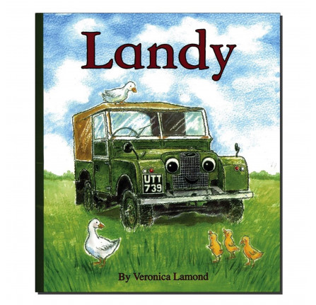 The Story Of Landy The Abandoned Series One Book