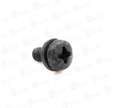 Headlamp Cover Screw