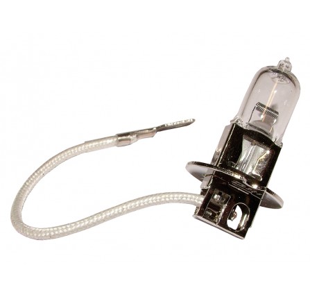 100W Bulb for DA4088C