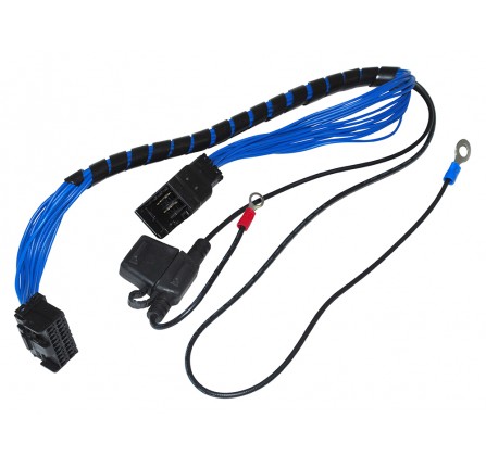 Eas O/Ride Module Harness