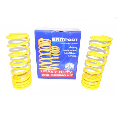 Spring 110 Rear Light Duty One Pair