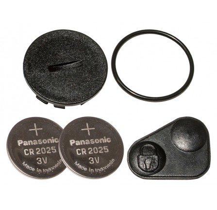 P38 Key Fob Repair Kit