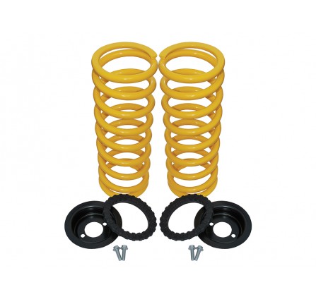 Disco 2 Air Suspension Conversion KIT+2 Rear