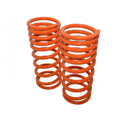 1 Inch Lowered Rear Springs Pair for Defender 110