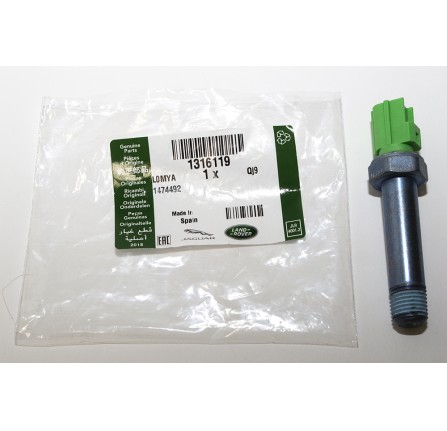 Switch Asy - Oil Pressure